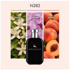 N282 Muscent 香水- 一款年女用香水