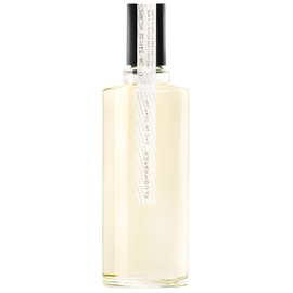 Klubwasser WienerBlut perfume - a fragrance for women and