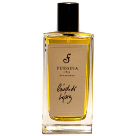 Cándido López – FUEGUIA 1833 Japan Online