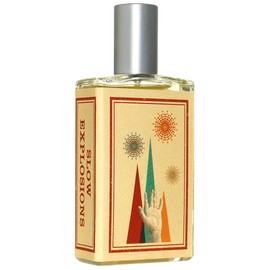 Slow Explosions Imaginary Authors parfum - un parfum unisex 2016
