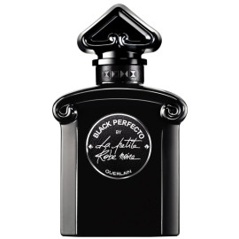 Fragrance Sel de Céleri - ARTS-SET