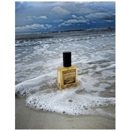 Ocean Perfume And Whales Ocean Whale Stuff For Perfume Sea Of Gray