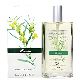 Mimosa Woods of Windsor perfume - a fragrance for women 1997
