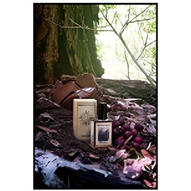 Black Forest Solstice Scents perfume a fragrance for women and men