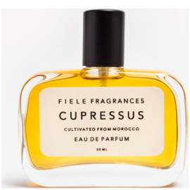 Cupressus Fiele Fragrances perfume - a fragrance for women and men 