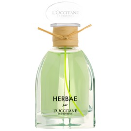 Herbae L'Occitane en Provence perfume - a fragrance for women and