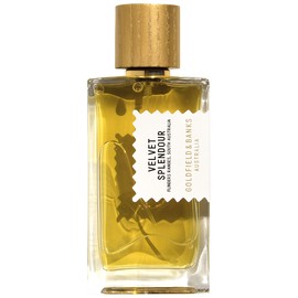 香水(女性用) GOLDFIELD & BANKS VELVET SPLENDOR 100ml Velvet Splendour Eau de Parfum – Australian Mimosa Gold
