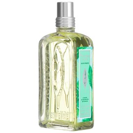 L'OCCITANE Verveine Sorbet オードトワレ100ml Verveine Sorbet L'Occitane en Provence perfume - a