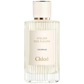 Chloé Cedrus