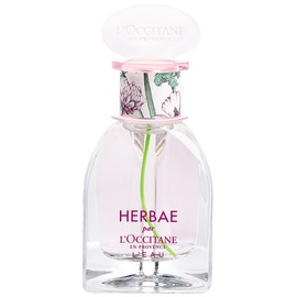 その他 HERBAE L'Occitane Eau de Toilette 50ml L'Occitane Herbae L'Eau Eau 1.6 oz - Walmart.com