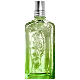 香水(女性用) Verveine Cactus Eau de Toilette 100ml Verveine Cactus L'Occitane en Provence perfume - a fragrance for
