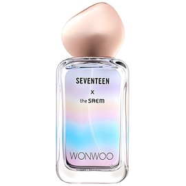Seventeen X Wonwoo The SAEM 香水- 一款2018年女用香水