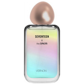 seventeen セブチ ザセム ウォヌ 八尾 レンチ the saem