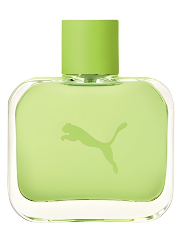 fragrance puma fragrance puma