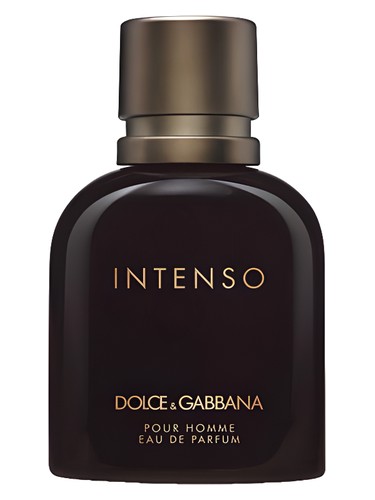 Dolce Gabbana Pour Homme Intenso