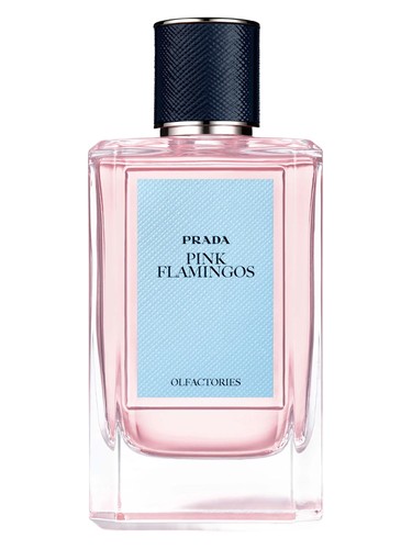 prada pink flamingos