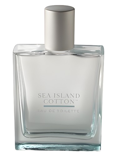 Sea Island Cotton Bath and Body Works perfume - a