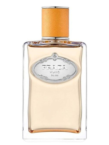 infusion prada hombre