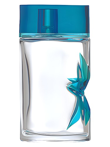A Men Summer Flash