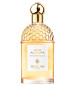 perfume Aqua Allegoria Mandarine Basilic