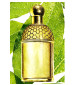perfume Aqua Allegoria Laurier - Reglisse