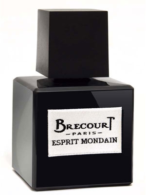 Esprit Mondain Brecourt de barbati