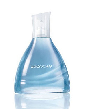Windscape for Him Avon pour homme