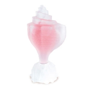 Pink Conch Seajewels de dama