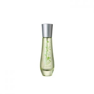 Té verde Bottega Verde für Frauen