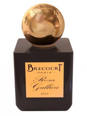 Rosa Gallica Brecourt für Frauen und Männer
