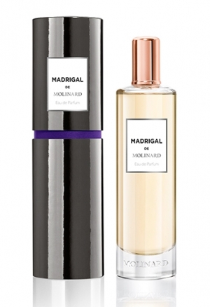 Madrigal Molinard Masculino