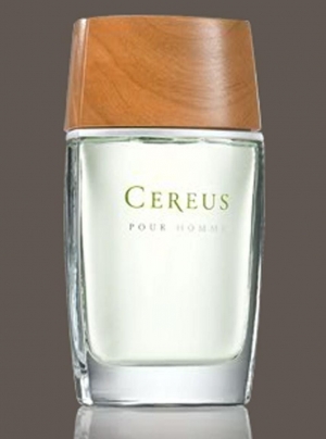 Cereus No.5 Cereus για άνδρες