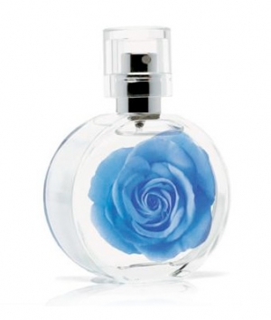 mark Garden Blu mark. para Mujeres