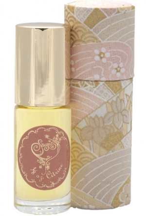 Citrine Sage Machado für Frauen und Männer