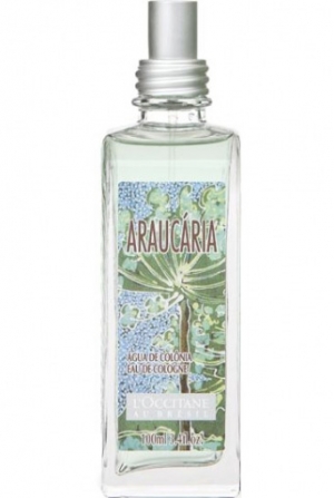 Araucaria L`Occitane en Provence dla mężczyzn