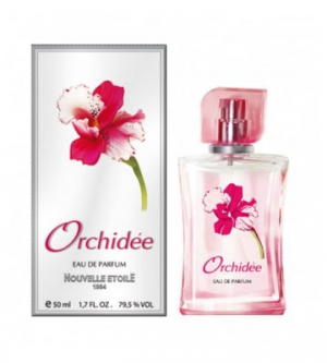 Orchidee Novaya Zarya für Frauen