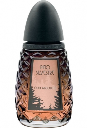 Oud Absolute Pino Silvestre эрэгтэй