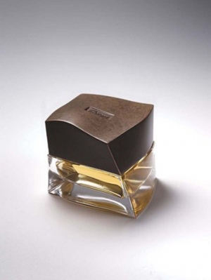 Brioni Eau de Toilette Brioni für Männer
