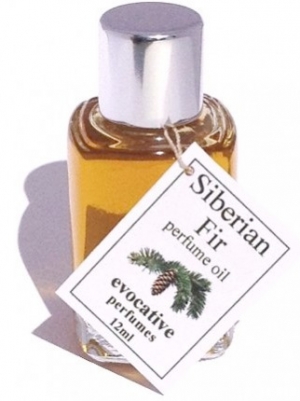 Siberian Fir Evocative Perfumes za žene i muškarce