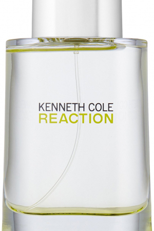 Reaction Kenneth Cole cologne - a fragrance for men 2004