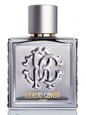 Roberto Cavalli Uomo Silver Essence Roberto Cavalli cologne - a new ...