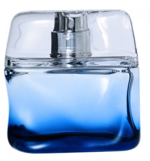 Bleu Intense Nicole Farhi para Hombres