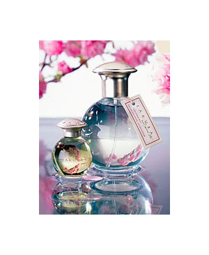 Sakura and Green Tea TerraNova для женщин