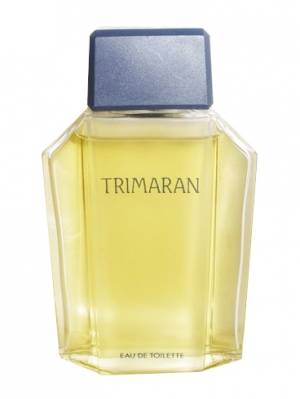 Trimaran Yves Rocher pour homme