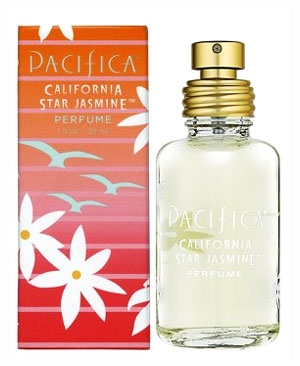 California Star Jasmine Pacifica de dama
