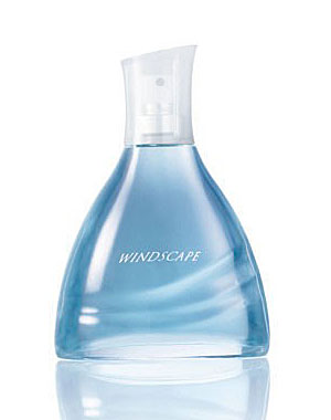 Windscape for Him Avon cologne - a fragrance for men 2010