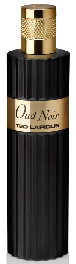 Oud Noir Ted Lapidus perfume - a fragrance for women and men 2014