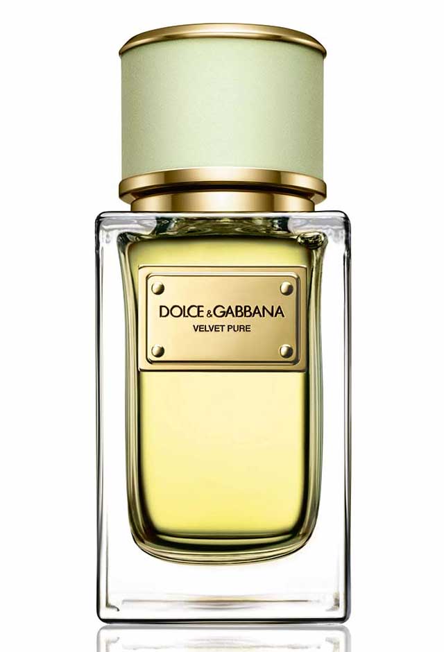 Velvet Pure Dolce&Gabbana perfume - a new fragrance for women 2016