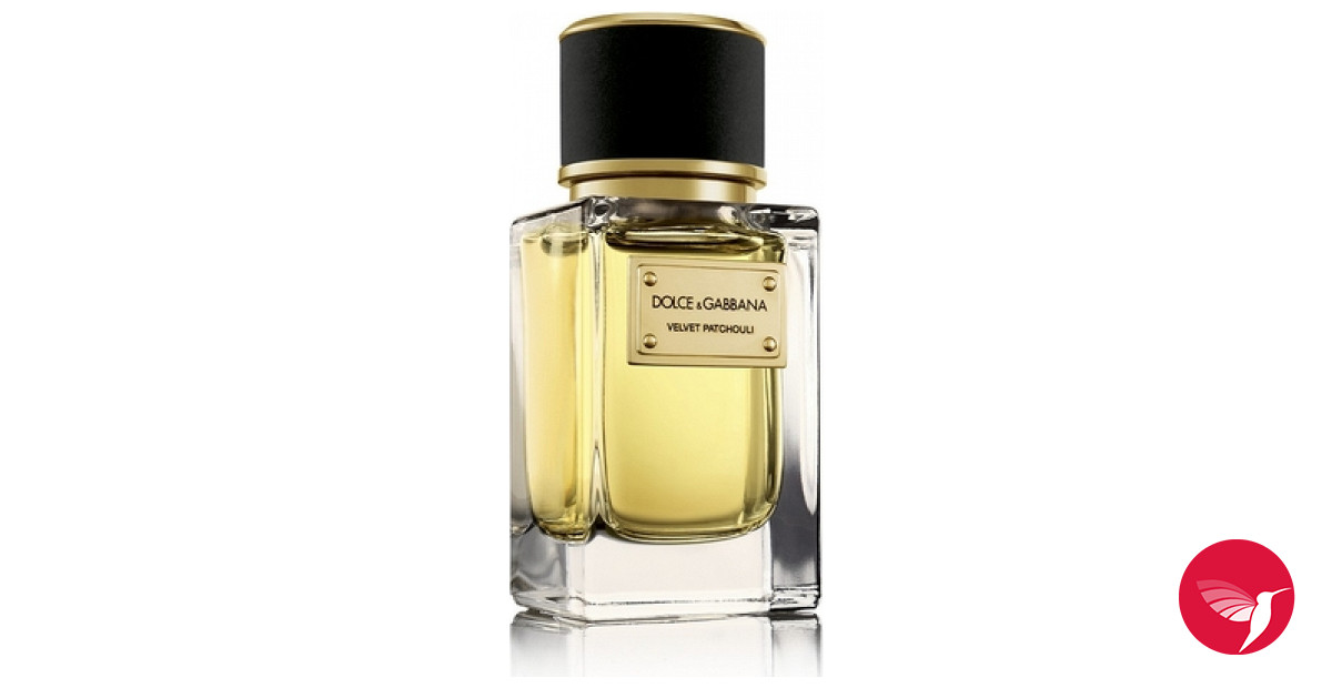 Velvet Patchouli Dolce&Gabbana parfum un parfum pour homme et femme 2011