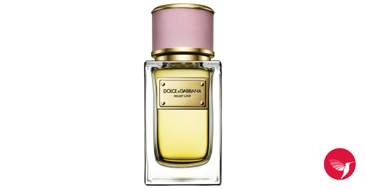 Velvet Love Dolce&Gabbana perfume - a fragrance for women 2011